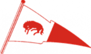Gsc_flag